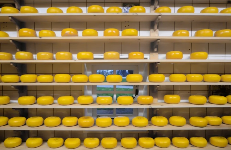 What Is Gouda Cheese? A Guide to Young and Aged Gouda